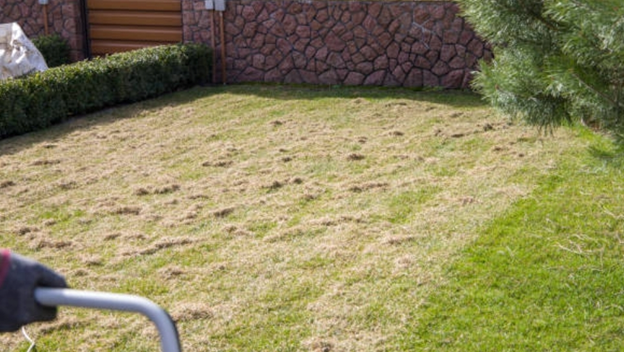 В процессе вертикуттирования