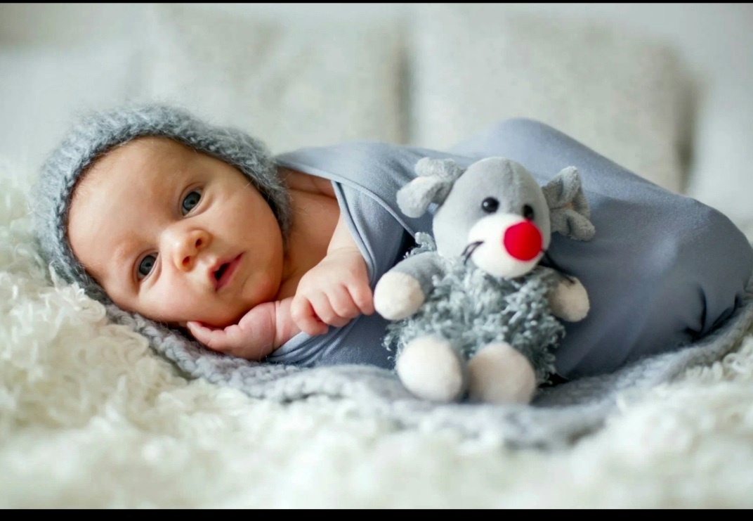 Фото из Яндекс. 