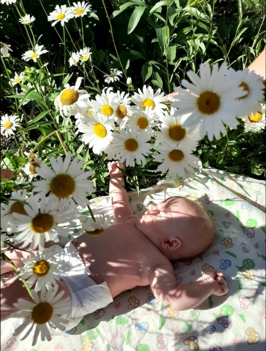 Фото из Яндекс. 