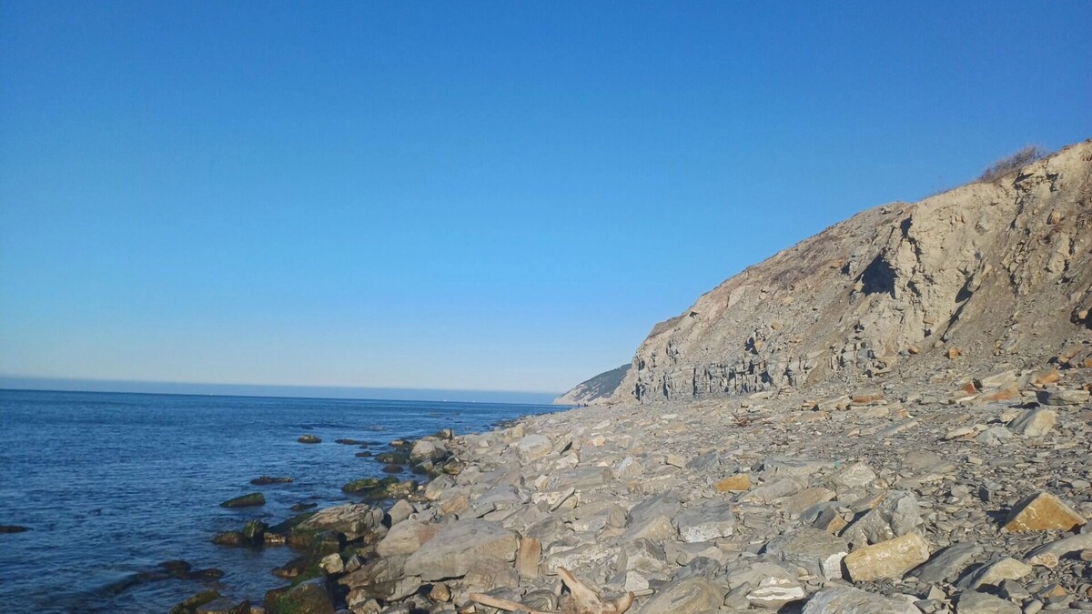     Автор: KubanPress