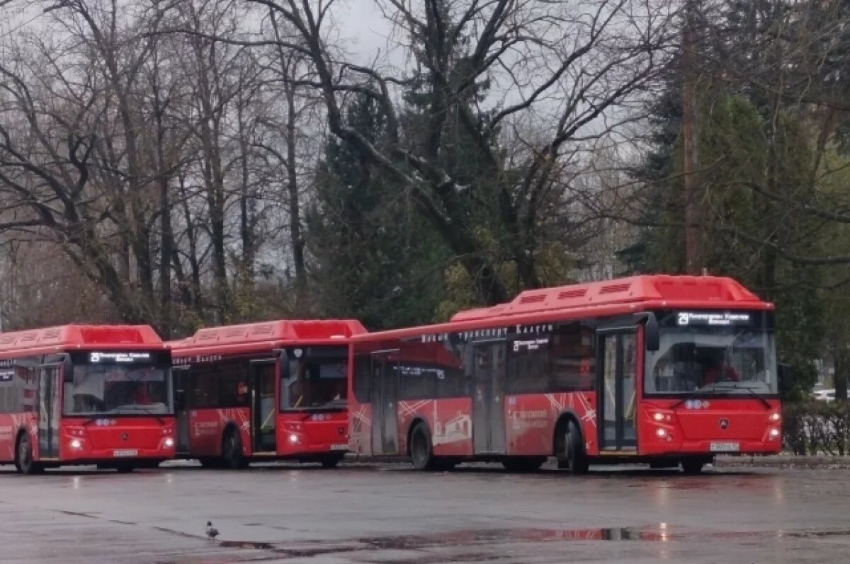    На Дону четвертый день не работает Pikas для отображения транспорта