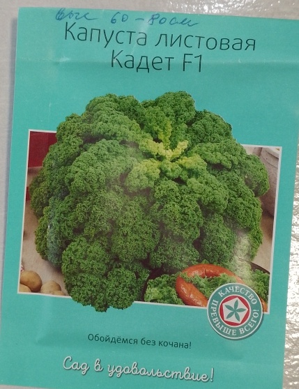 Капуста листовая. Фото автора