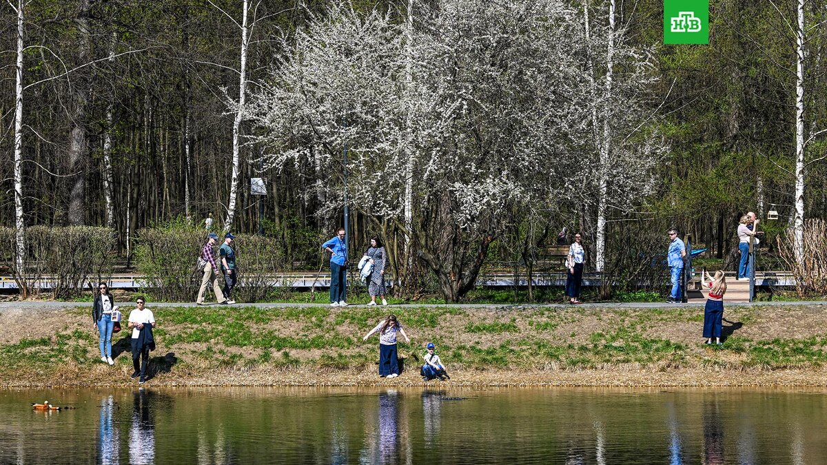    Фото: РИА Новости © 2025, Михаил Воскресенский