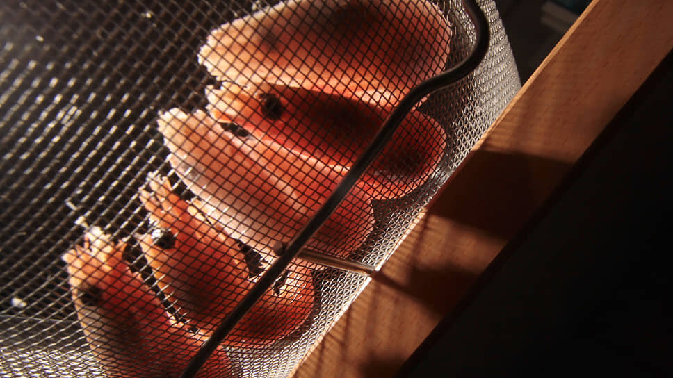 Фото: Александр Вайнштейн / Коммерсантъ