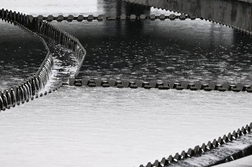     © РИА Новости. Алексей Майшев