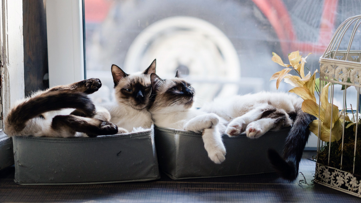 Изображение от ArthurHidden на Freepik