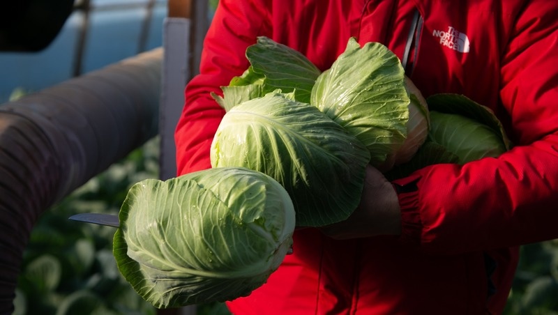      Фото: Валерия Алтухова / / ИА «Победа26»