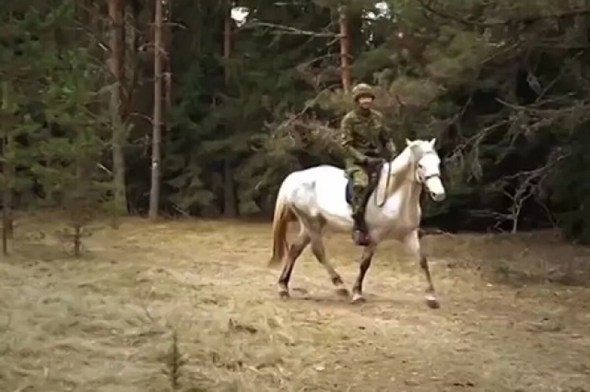    В Эстонии создали кавалерийский отряд пикинеров для патрулирования границы с Россией.