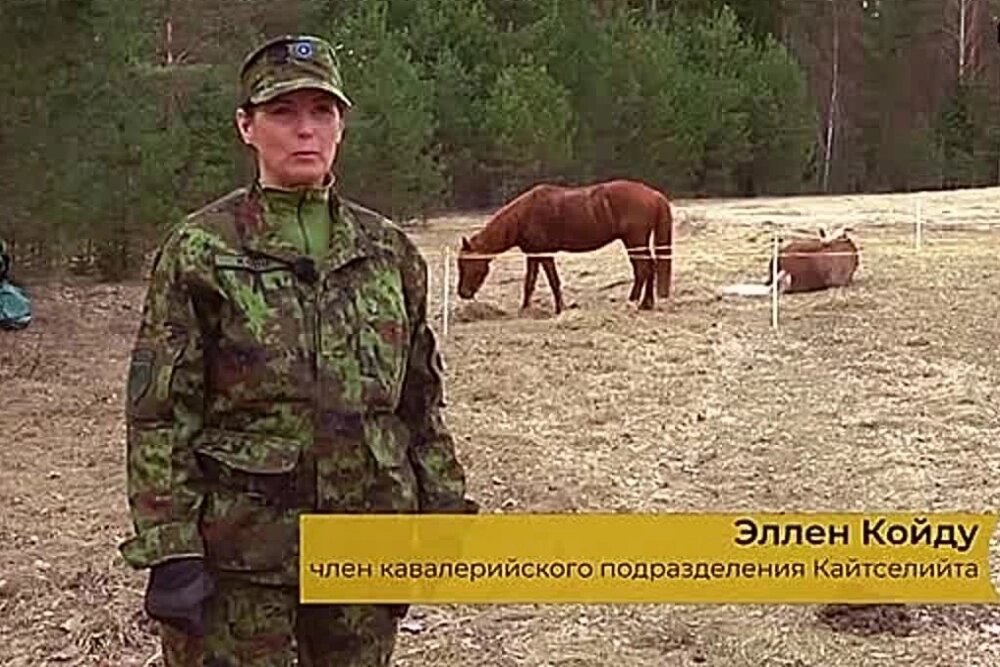    Может, работает старая добрая поговорка «Тише едешь — дальше будешь». Кадр видео