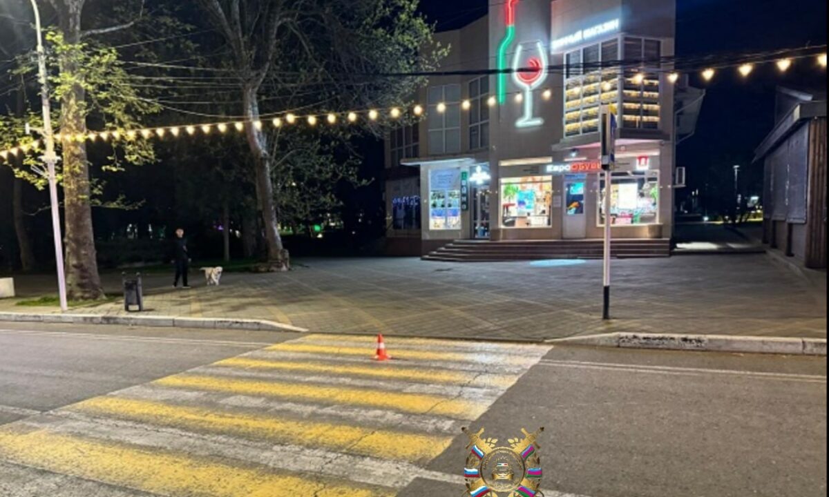    Фото t.me/gibdd123region