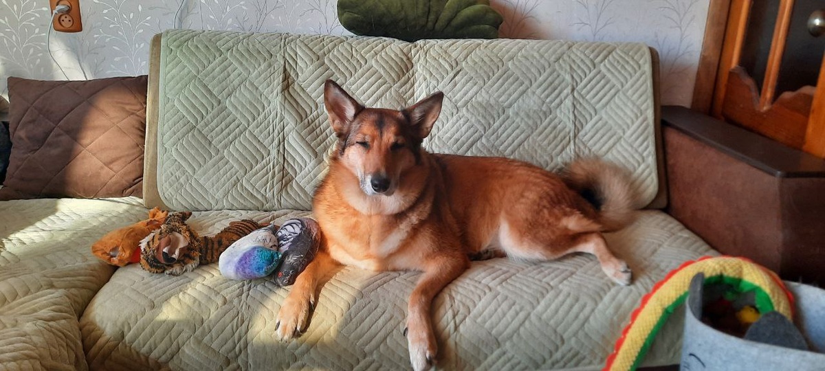 Это чьё такое довольное лицо?