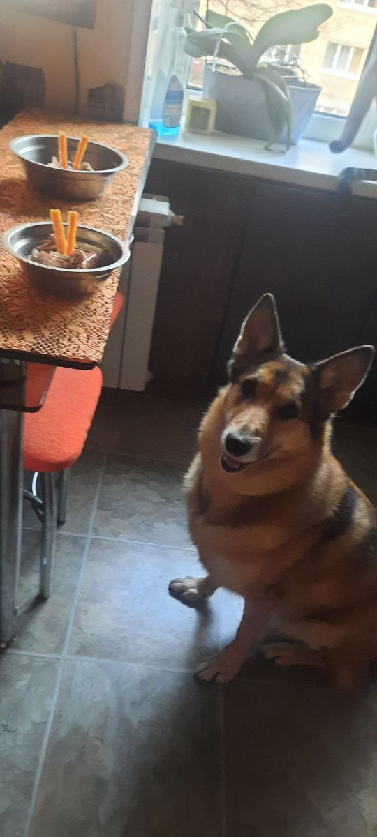 Посмотрели! А есть-то когда??