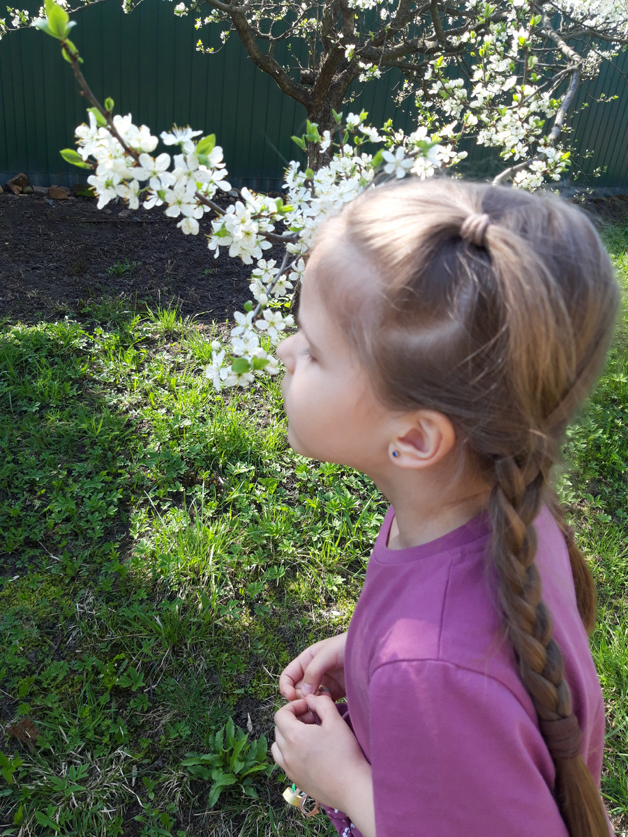 Перлы от Викули: В слове богет есть слово бог. – Пишется бАгет. – Тогда слово баг, ну мусорный. – Мусор собирают в баК. – Мне всего 7 лет, чего вы от меня хотите)))