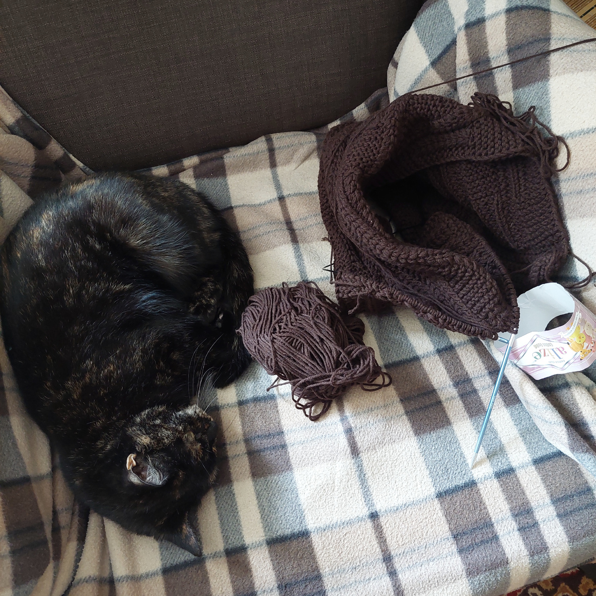 Моя вязальщица.