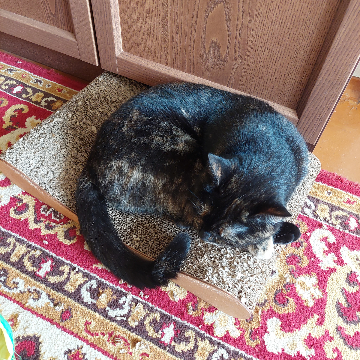 Не жизнь, а маета сплошная.