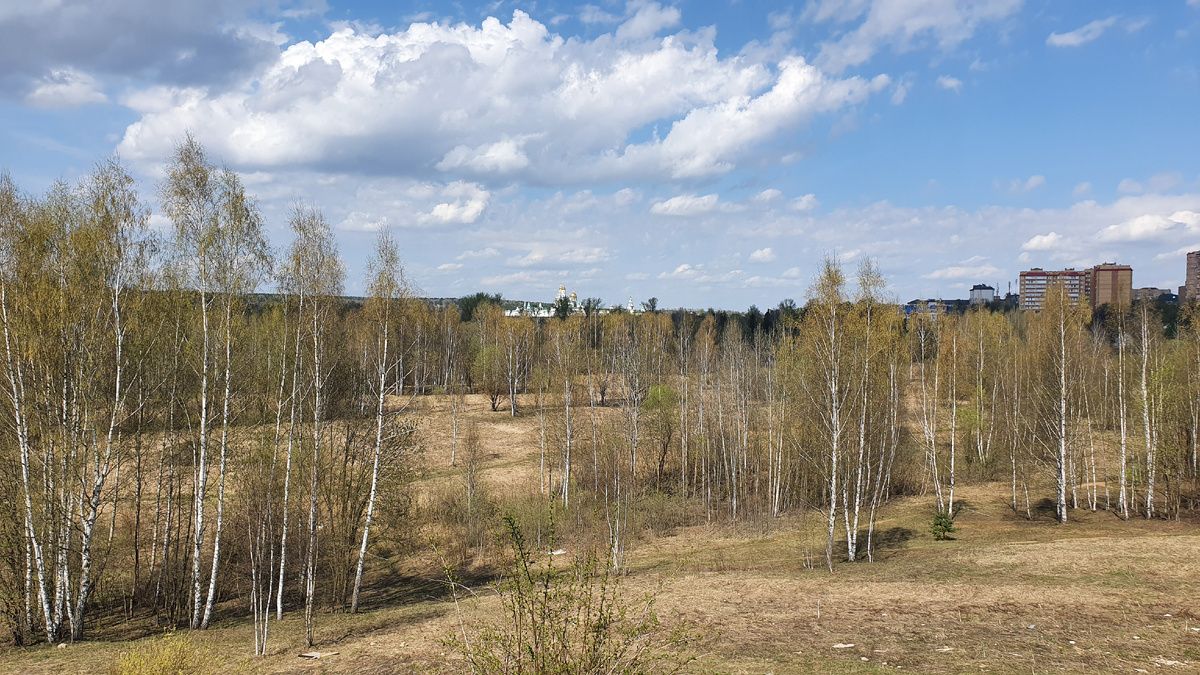 Вид на Воскресенский Новоиерусалимский монастырь с возвышенности недалеко от станции "Истра"