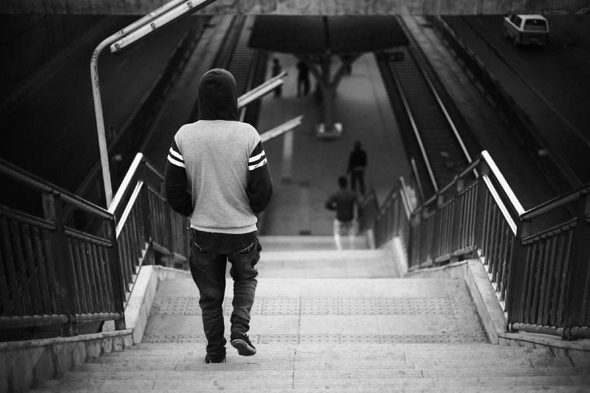 Фото взято из открытых источников