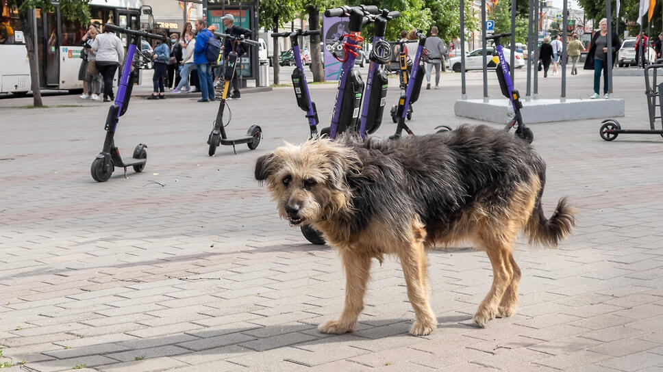 Фото: Игорь Елисеев / Коммерсантъ