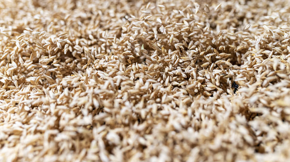 Фото: Игорь Елисеев / Коммерсантъ