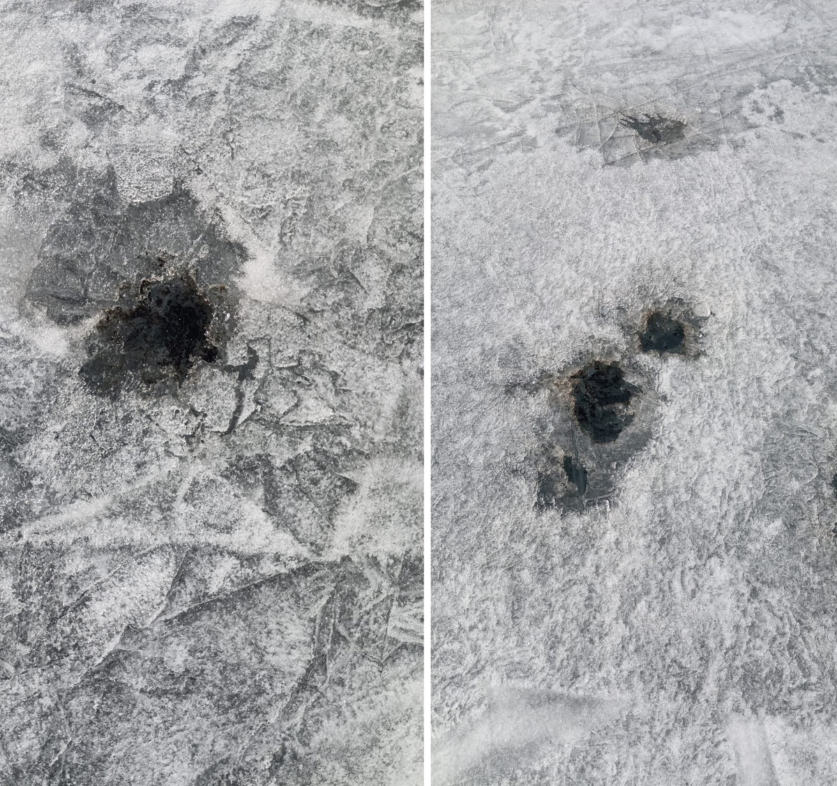     / Источник: © VK/Байкальский музей