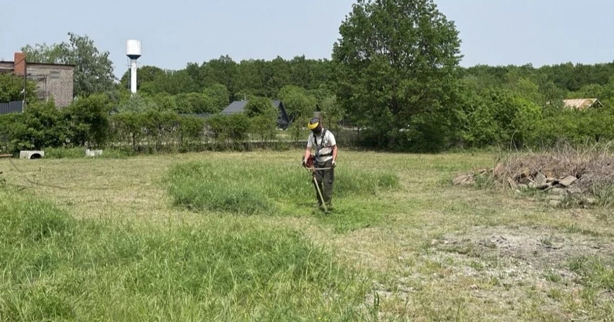 Фото: Утренний Юг