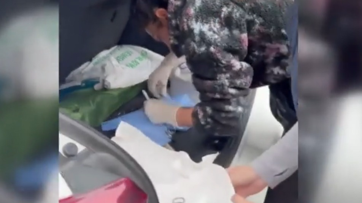    Фото: Скриншот видео DHA