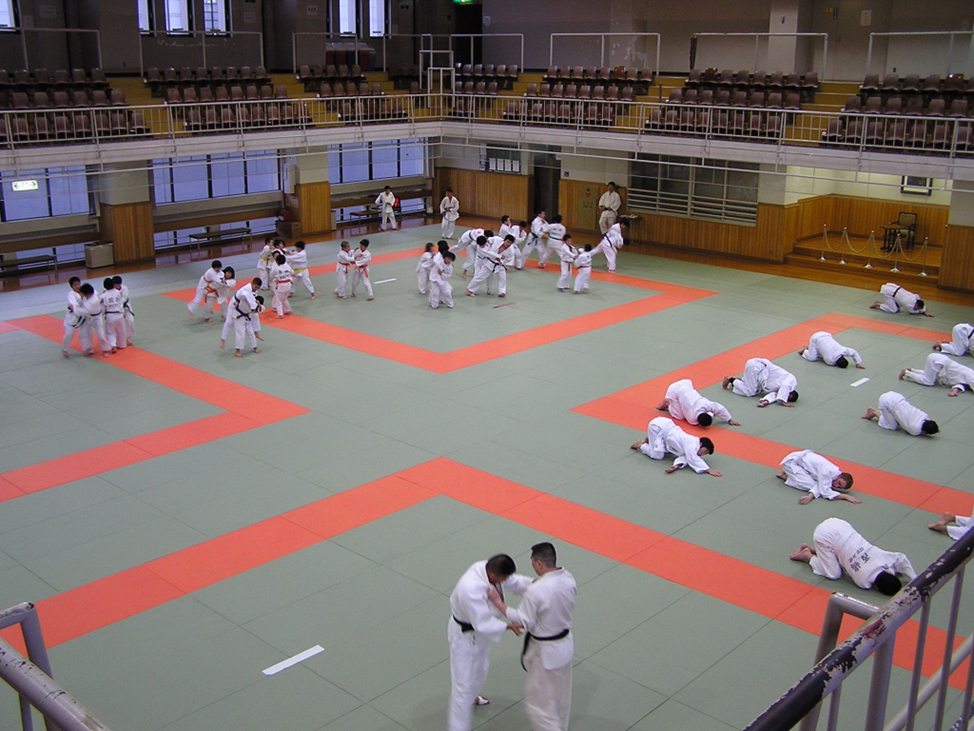 Фото с сайта: https://ru.pinterest.com/pin/kodokan-trip-tokyo-japan--52072939433798645