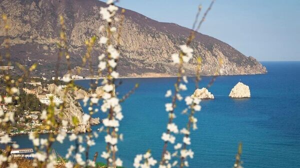    © Telegram-канал главы администрации Ялты Янины Павленко