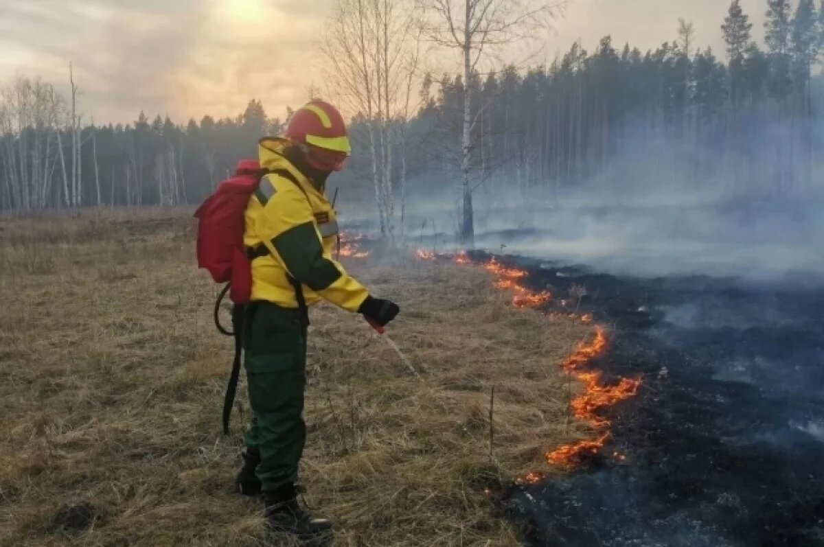    В Омской области не допустили огонь до деревни