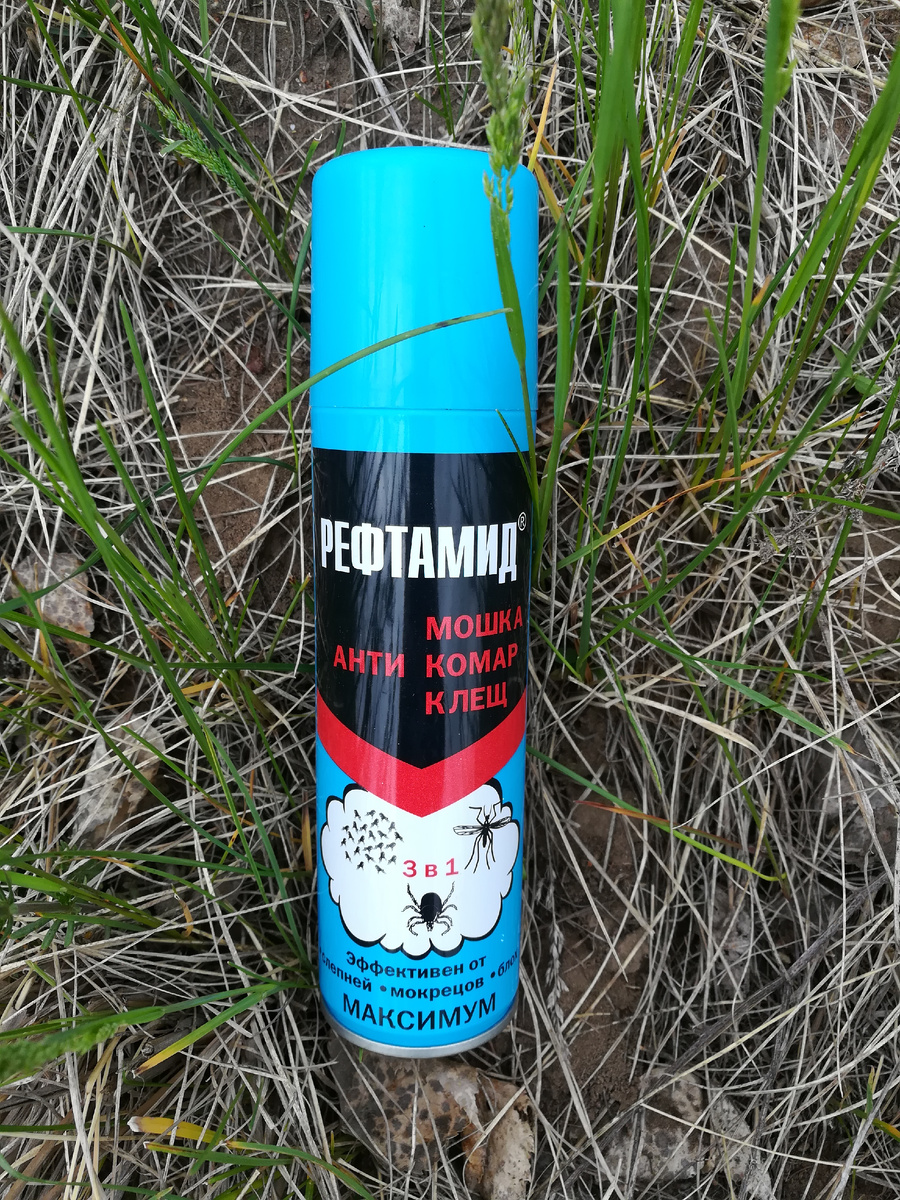 Последняя надежда археолога. Фото Татьяны Горбуновой, 2018 год