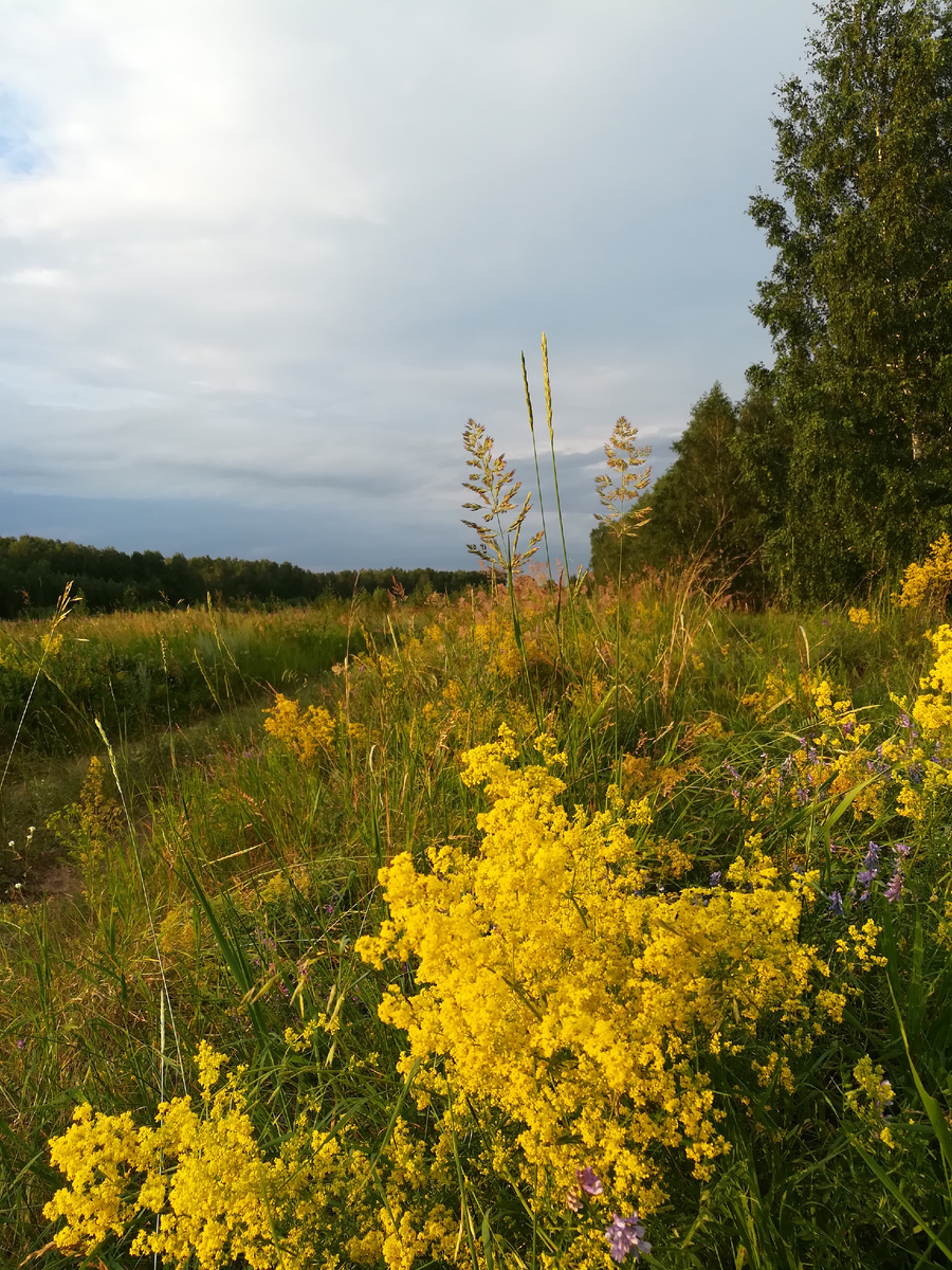 Тишина... И ничто не предвещает беды. Фото Татьяны Горбуновой, 2018 год