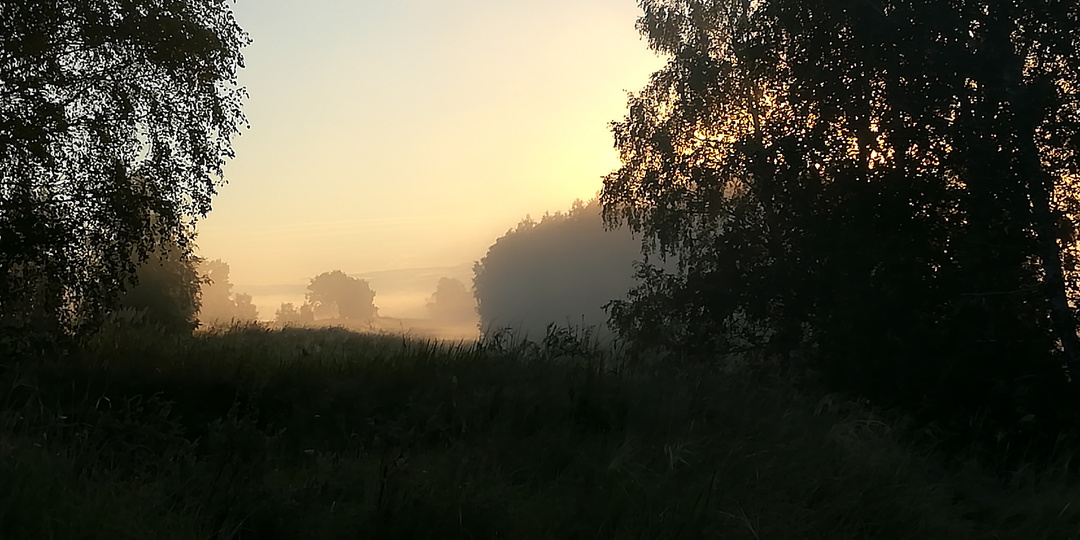 Вампиры Черноозерья