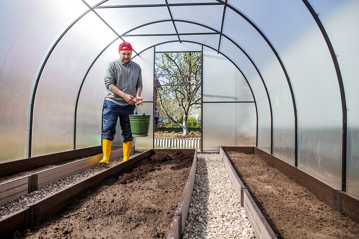Что можно посадить в мае? В конце весны у дачников много работы. Источник: Shutterstock📷
