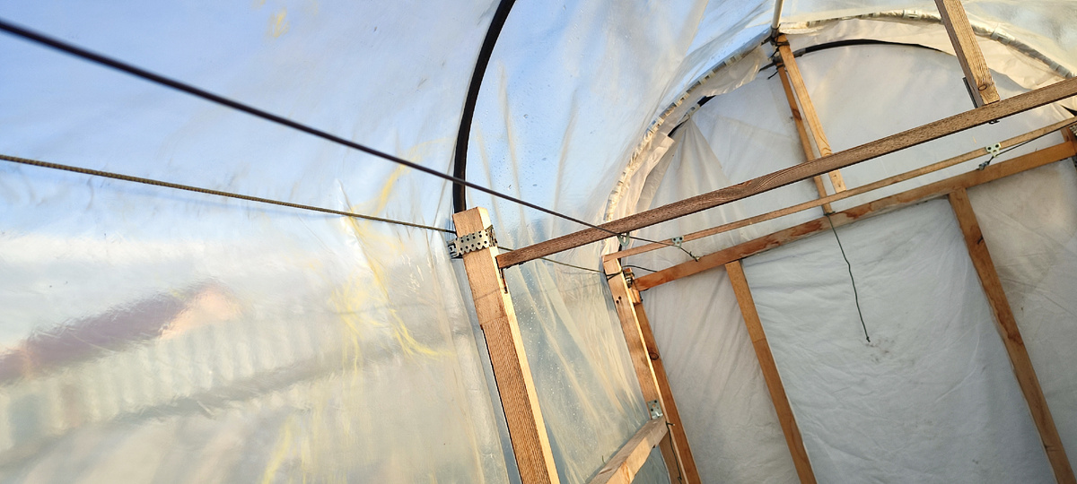 Трос удалось натянуть очень упруго, а потому томаты должны хорошо держаться. 