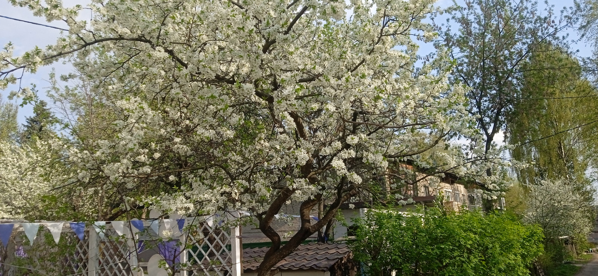 Фото автора. 