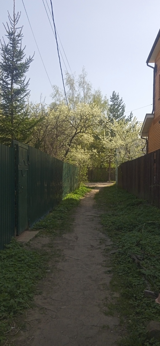 Деревня Мамоново. Сегодня. Фото автора.