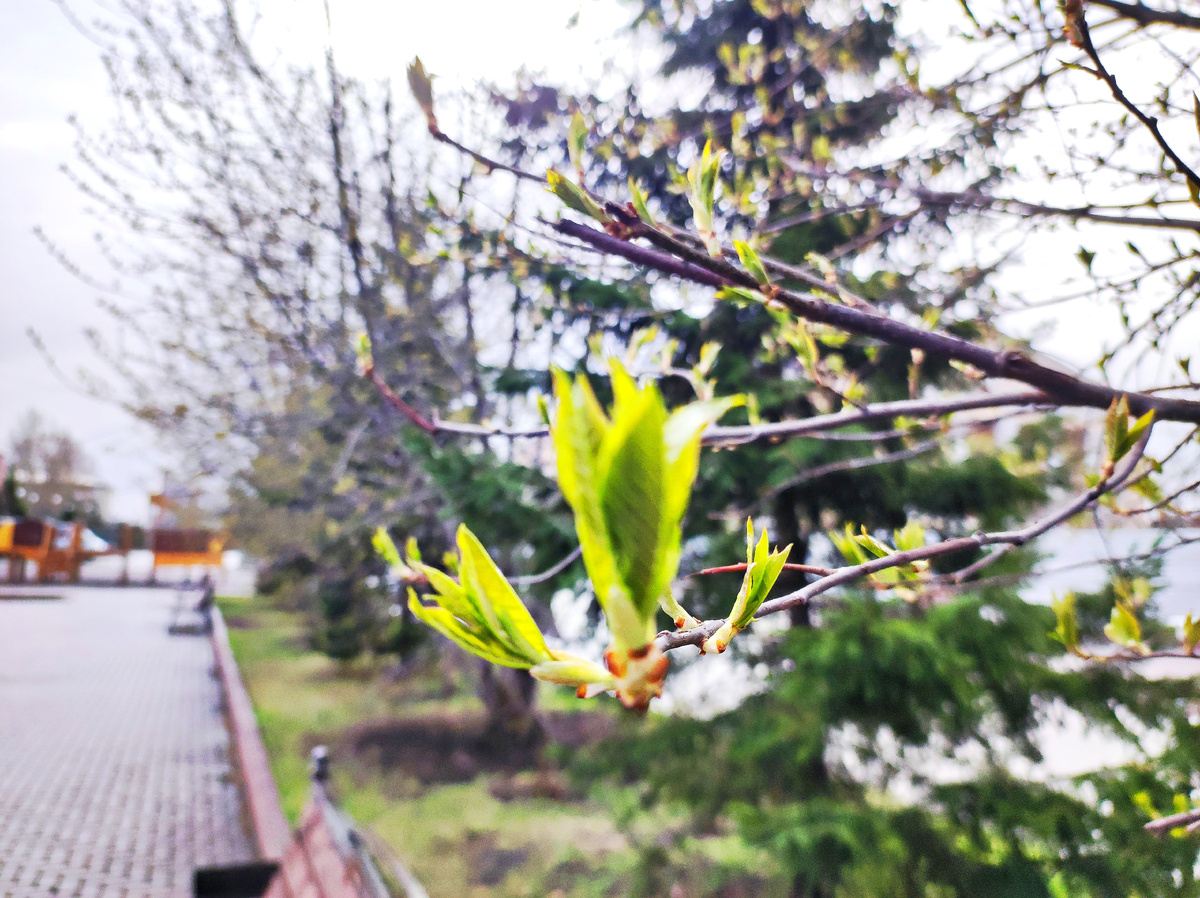 Мой новый день 