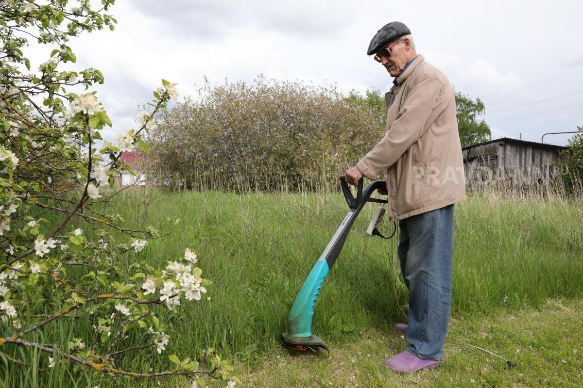    За нескошенную траву можно ответить рублём