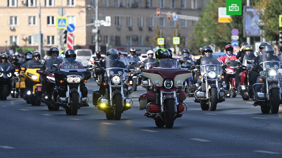    Фото: РИА Новости © 2025, Кирилл Каллиников