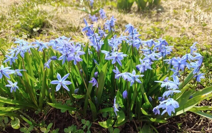    Погода в Ижевске на день: 24 апреля ждем до +24°С и грозы