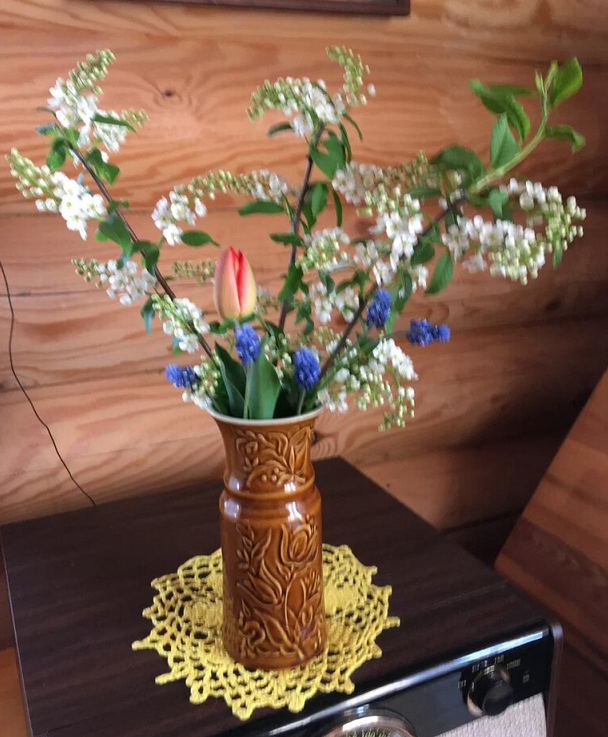 Фото мамы автора