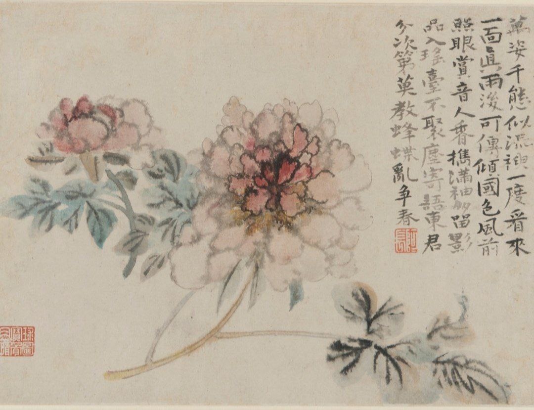 «Пионы». Шитао, ок. 1698 г. Тушь и цвет на бумаге