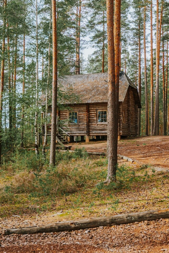 Сирота из детского дома получает в наследство от покойной матери дом в лесу и собаку. После смерти пса, в его будке, находит сундук с сокровищами и письмо матери. Девушка узнаёт об отце пирате и всей правде о жизни её родителей.