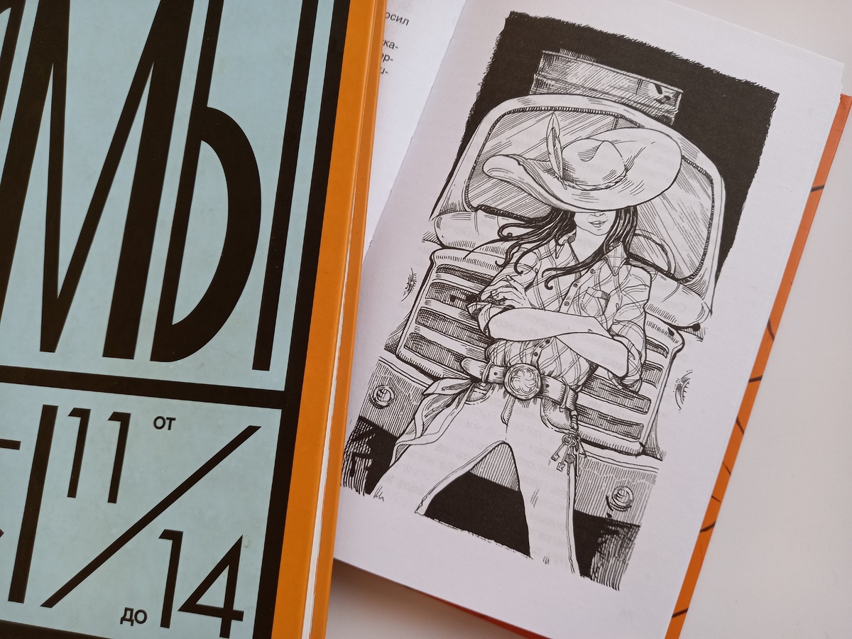 художник Ярослава Богородская, "Качели" (а фрагмент переплёта от "Розового жирафа")