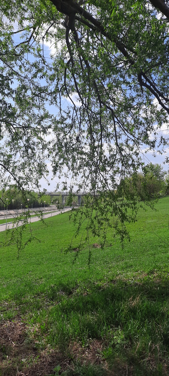 У нас сегодня было +28