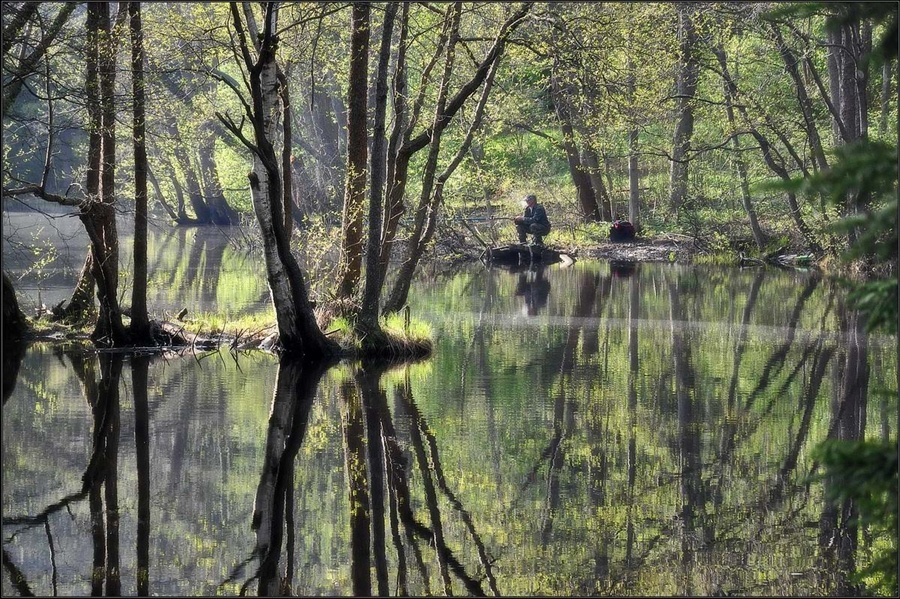 Фото взысто из открытых источников