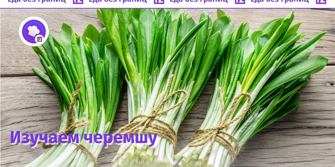 Чем хороша черемша и в каких блюдах ее можно использовать: советы от шефа