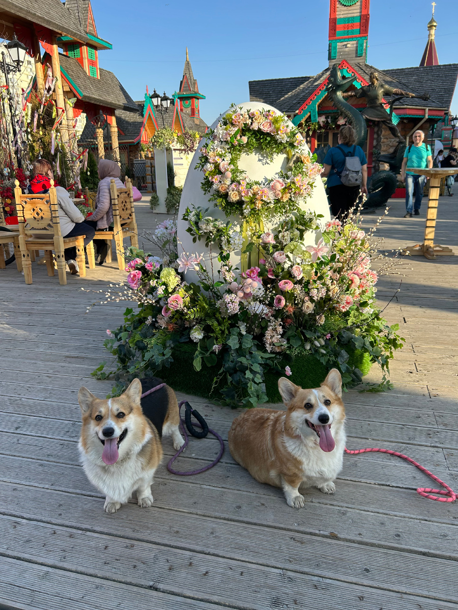 Поздравляем со Светлым праздником Пасхи! 🐣