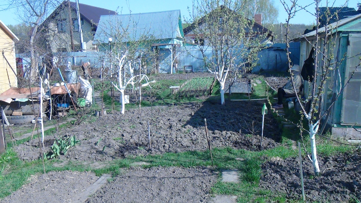 Сад готов к весеннему многоцветью!