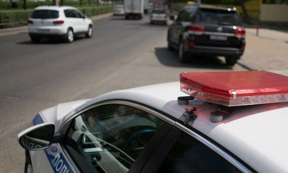    Фото Николая Хижняка, «Кубань 24»